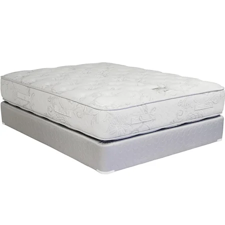 King Plush Mattress and Foundation